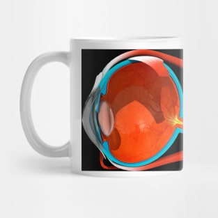 Eye anatomy (C008/7545) Mug